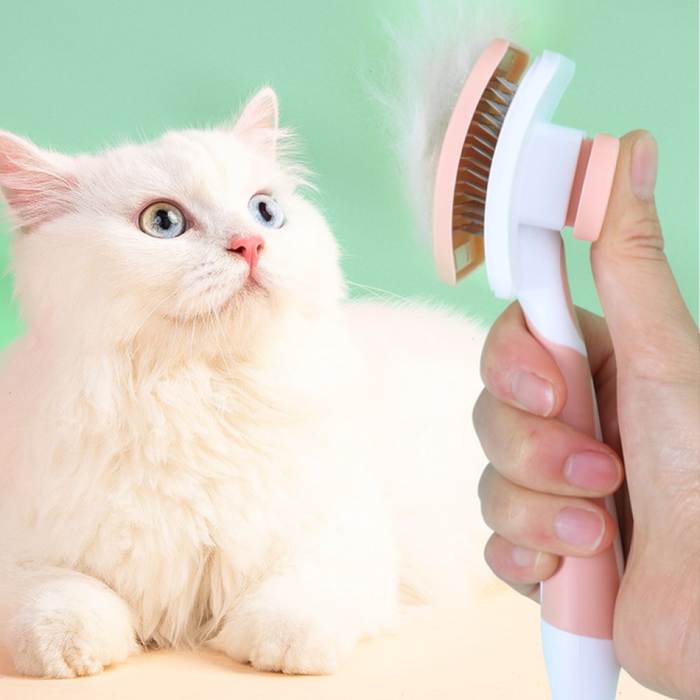 Slicker Brush Self Cleaning Pet Grooming - Brosse à poils souples pour le