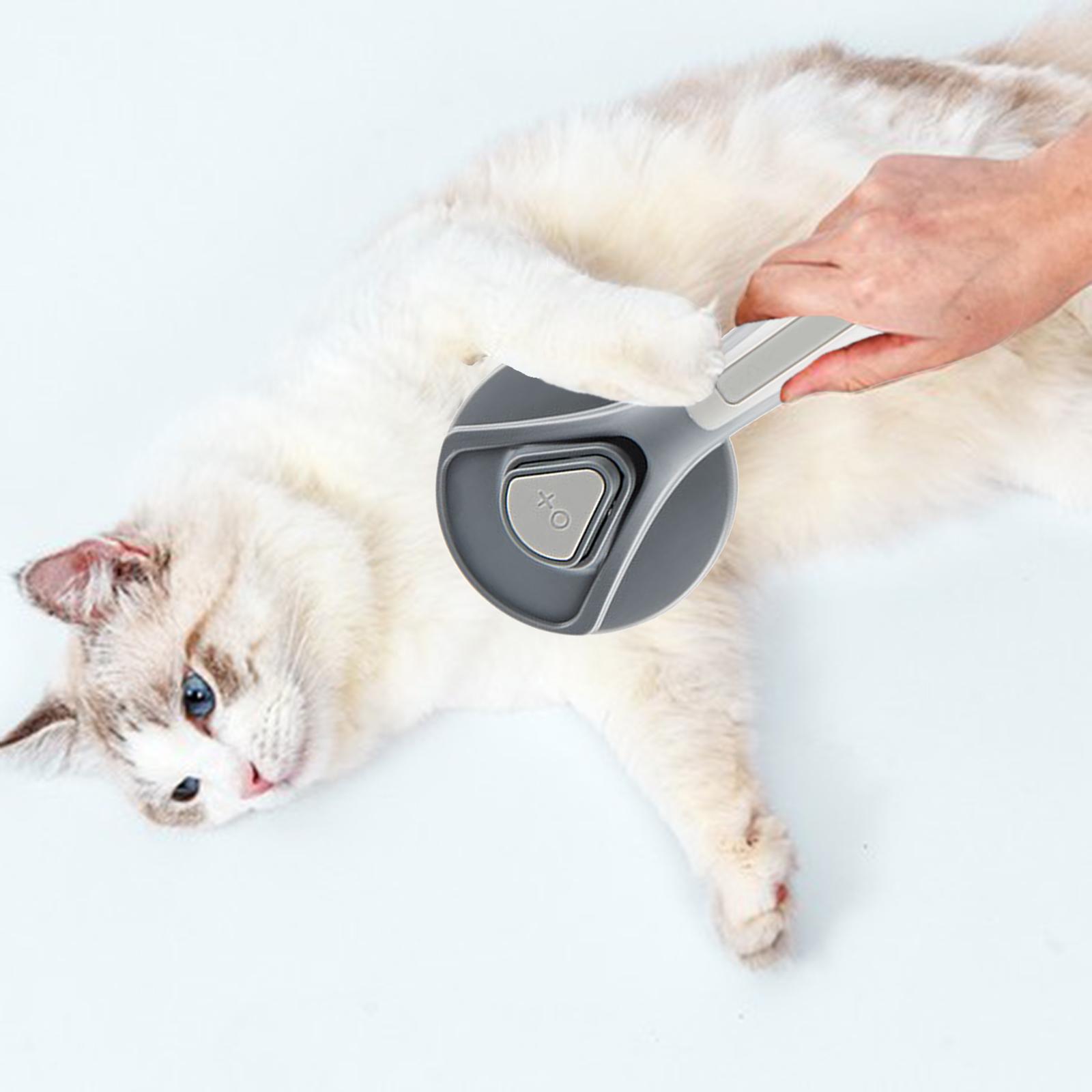 Slicker Brush Self Cleaning Pet Grooming - Brosse de toilettage pour chat et