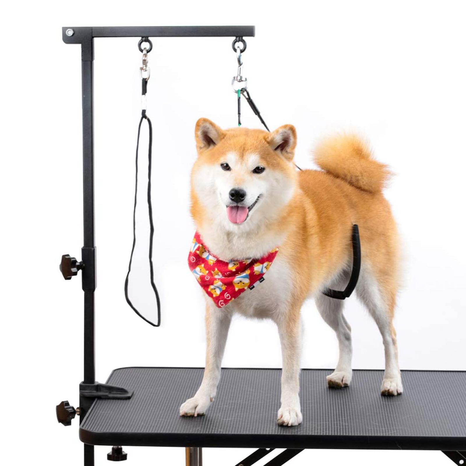 Bras de toilettage pour animau - Folding Pet Grooming Table Arm Clamp avis et prix
