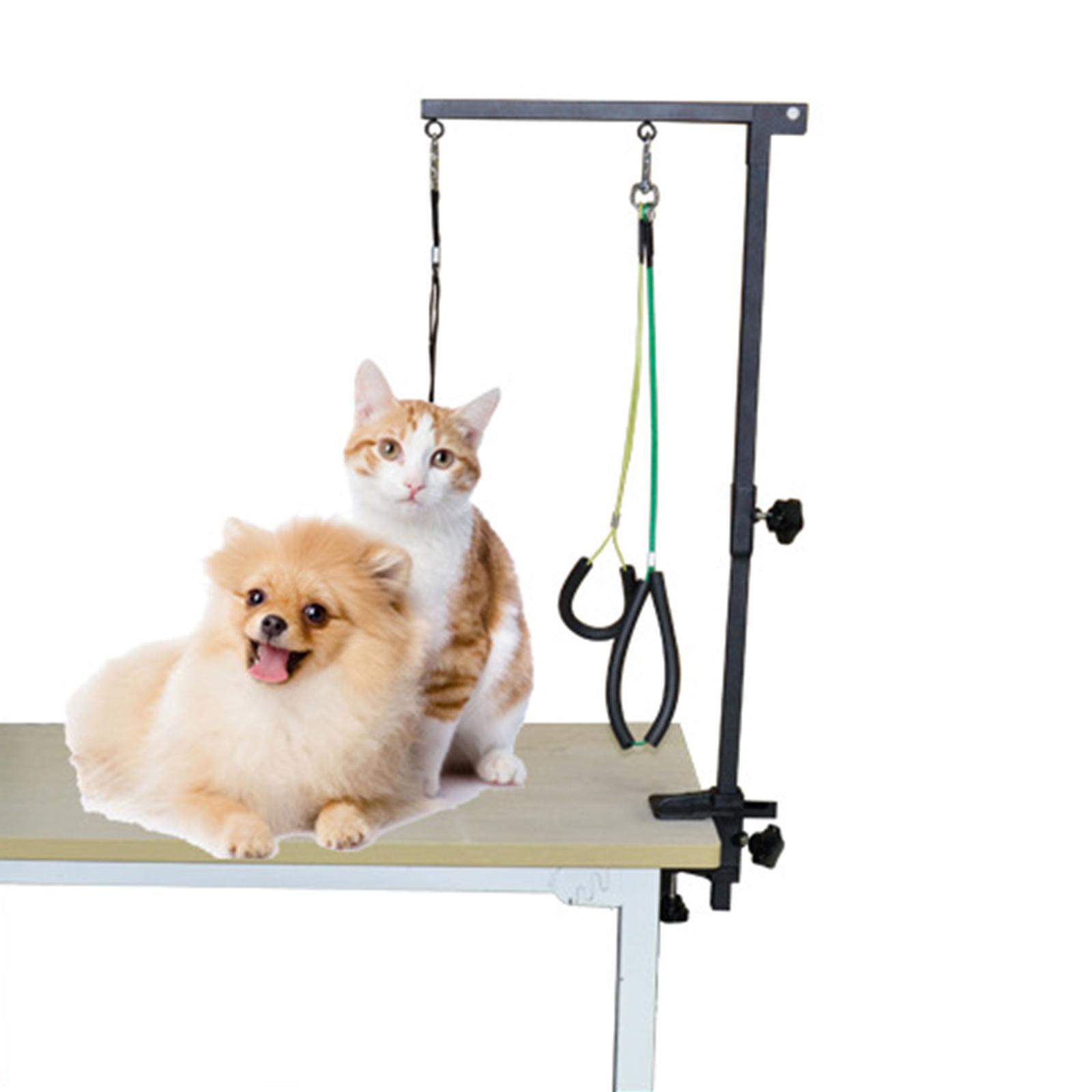 Support de toilettage pour chi - Folding Pet Grooming Table Arm Clamp avis et prix
