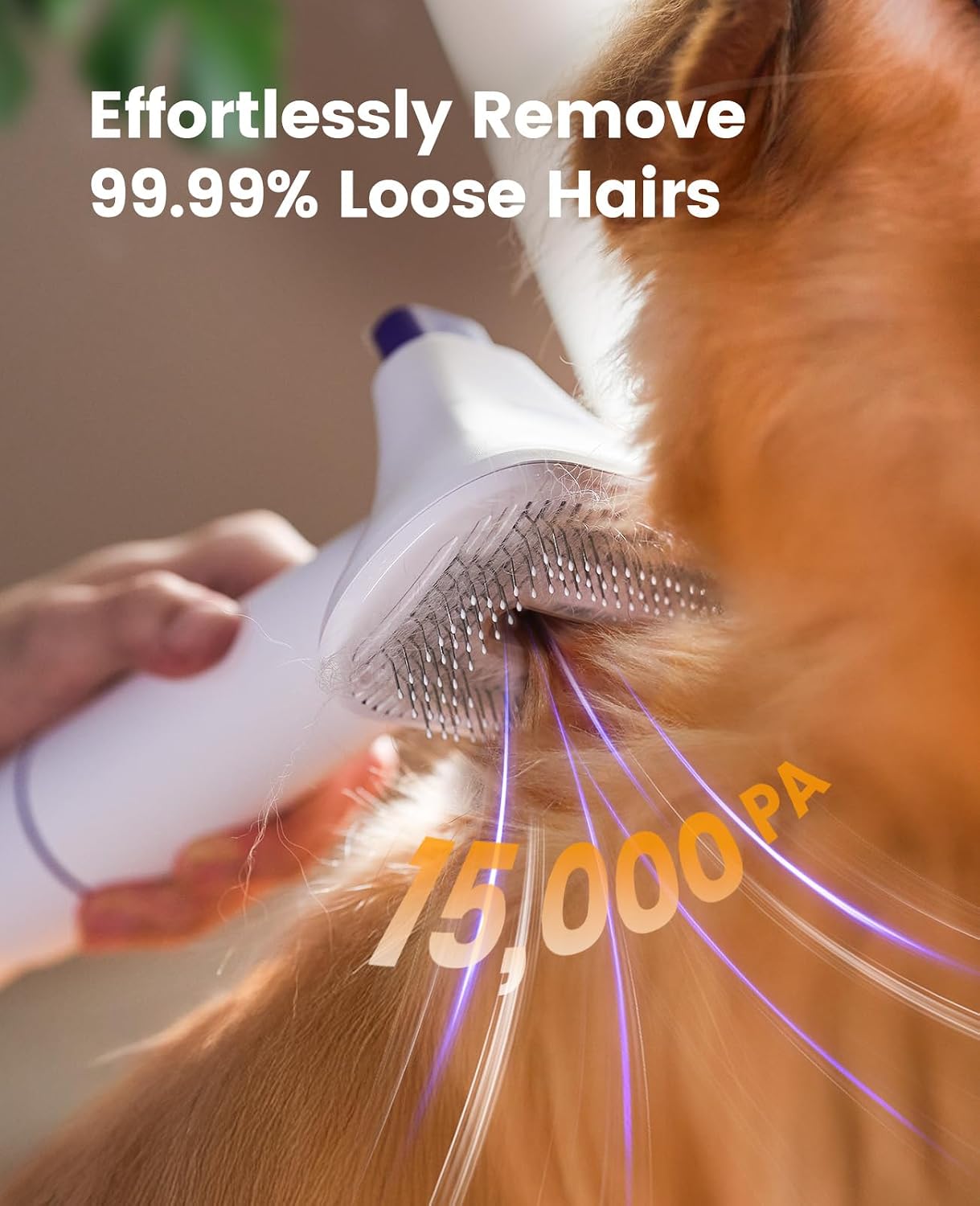 Kits de brosses de toilettage  - Pet Grooming Vacuum Suction Kit 5 In 1 avis et prix