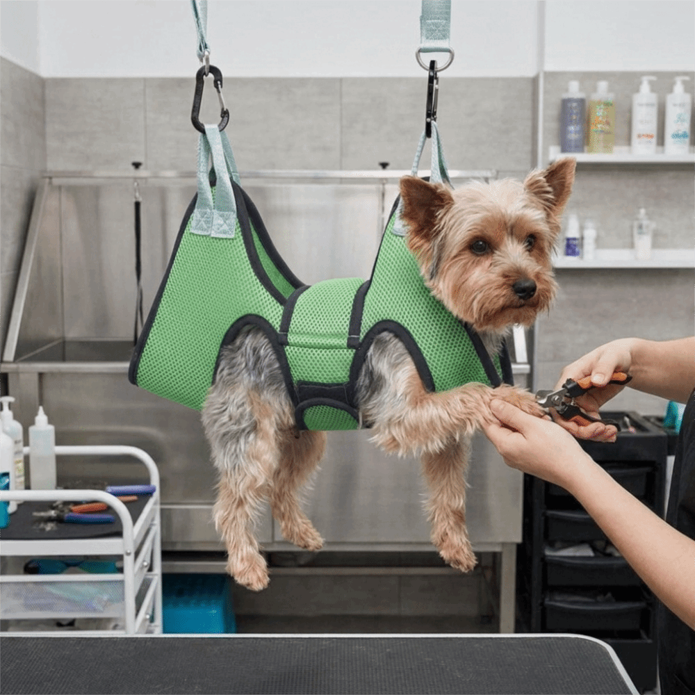 Hamac de toilettage pour chien - Pet Grooming Hammock Sling Restraint avis et prix