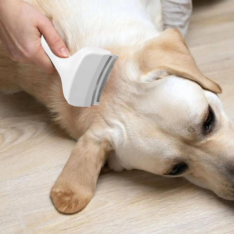 Brosse démêlante pour chiens e - Undercoat Rake Dematting Tool Dog Shedding avis et prix