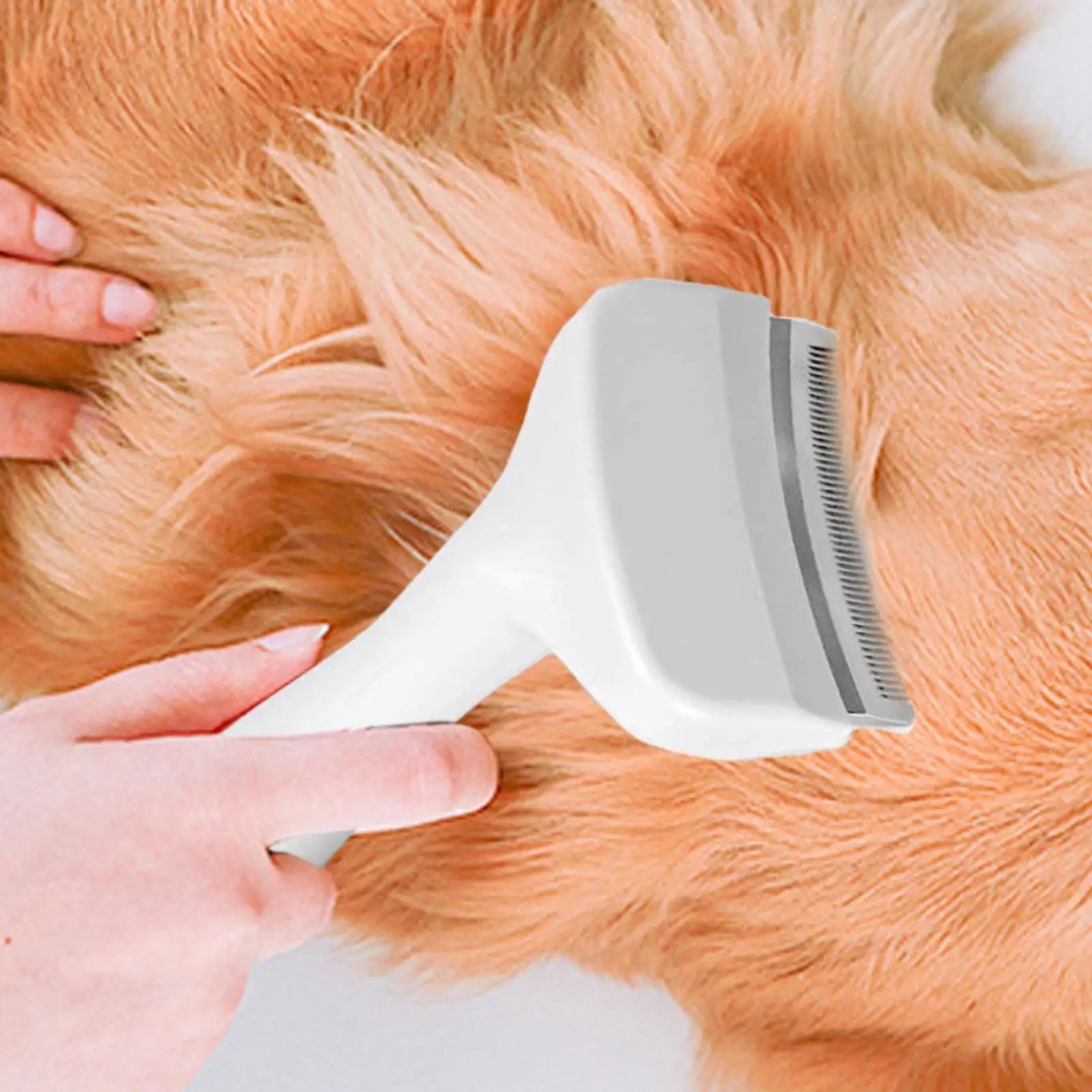 Brosse démêlante pour chiens e - Undercoat Rake Dematting Tool Dog Shedding avis et prix
