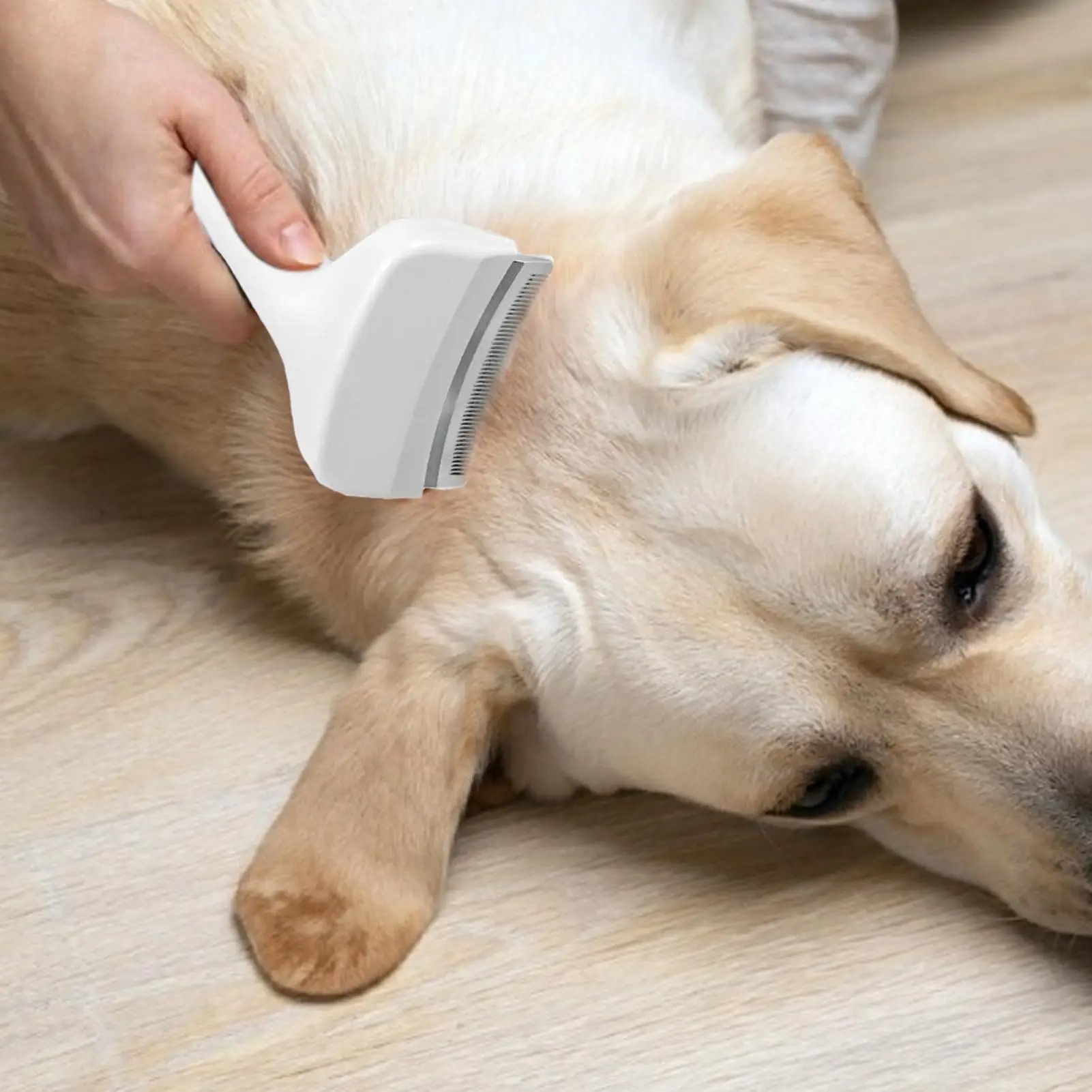Brosse à trancher pour chiens, - Undercoat Rake Dematting Tool Dog Shedding avis et prix