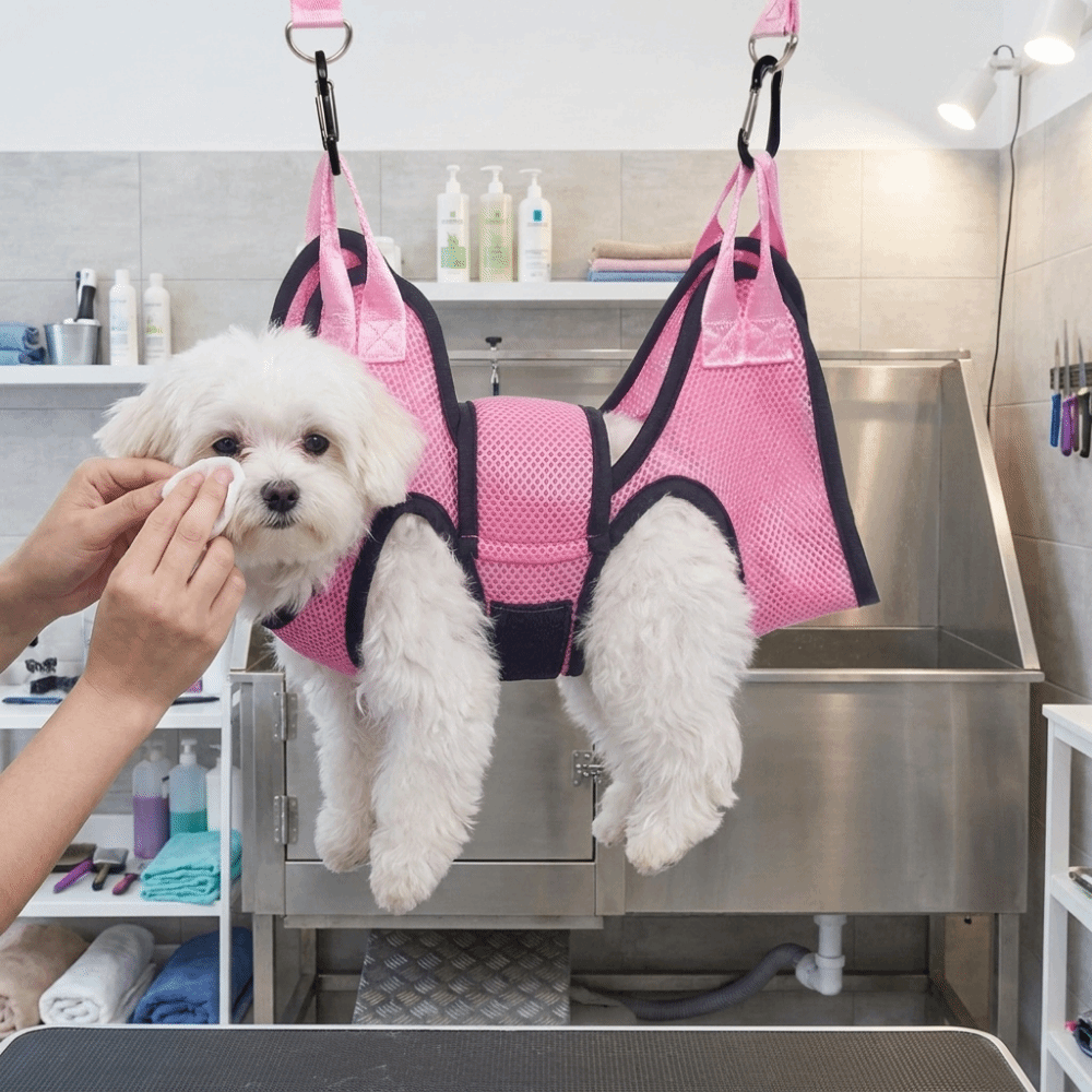 Hamac de toilettage réglable p - Pet Grooming Hammock Sling Restraint avis et prix