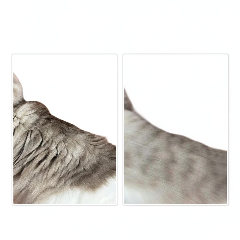 Brosse de toilettage professio - Undercoat Rake Dematting Tool Dog Shedding avis et prix