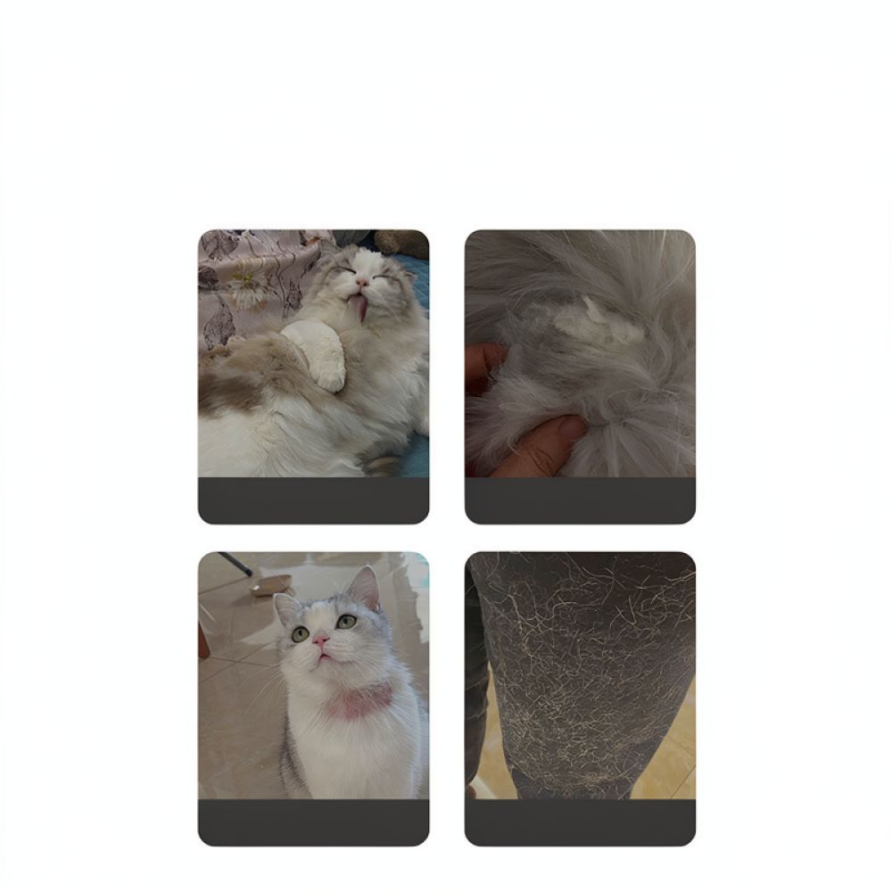 Outil de toilettage pour anima - Undercoat Rake Dematting Tool Dog Shedding avis et prix