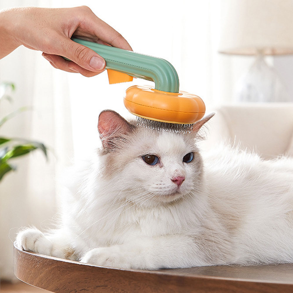 Brosse démêlante auto-nettoyan - Slicker Brush Self Cleaning Pet Grooming avis et prix