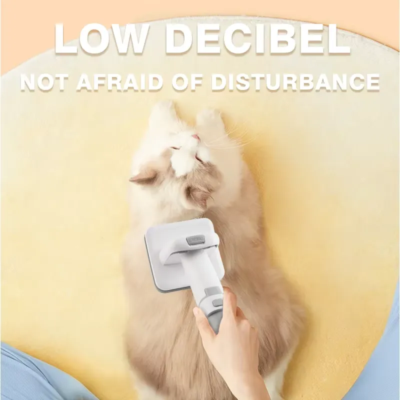 Kit de toilettage professionne - Cordless Dog Clippers Low Noise Grooming avis et prix