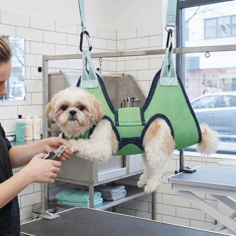 Hamac réglable pour toilettage - Pet Grooming Hammock Sling Restraint avis et prix