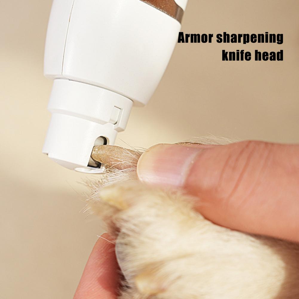 Tête de tondeuse pour animaux  - Cordless Dog Clippers Low Noise Grooming avis et prix