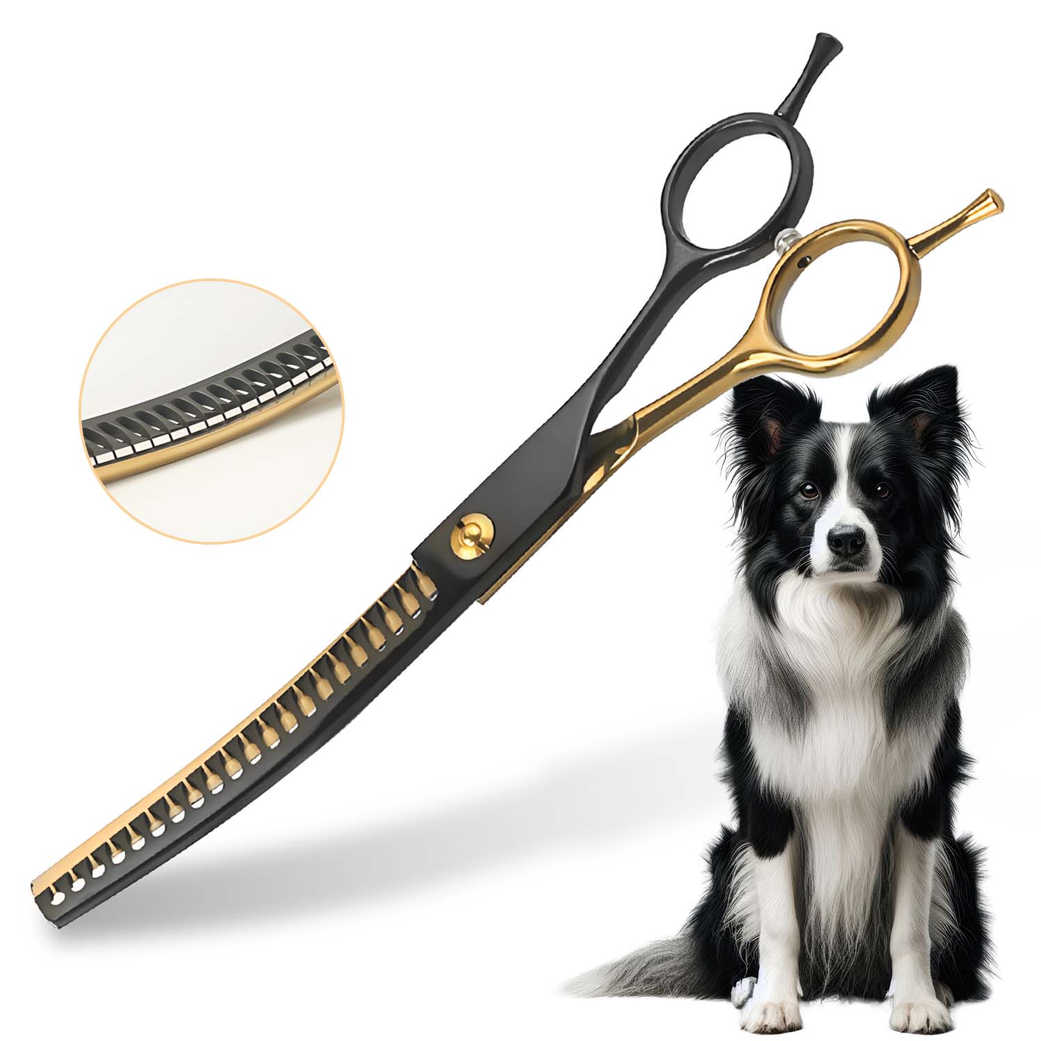 Ciseaux professionnels incurvé - Professional Pet Grooming Scissors Curved avis et prix