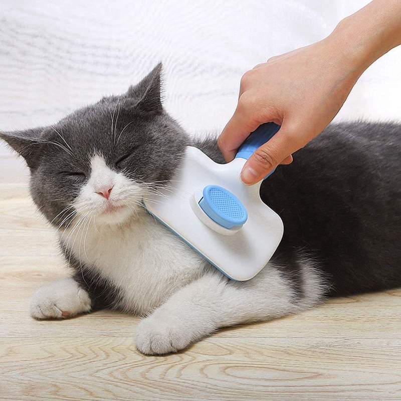 Brosse à poils lisses autonett - Slicker Brush Self Cleaning Pet Grooming avis et prix